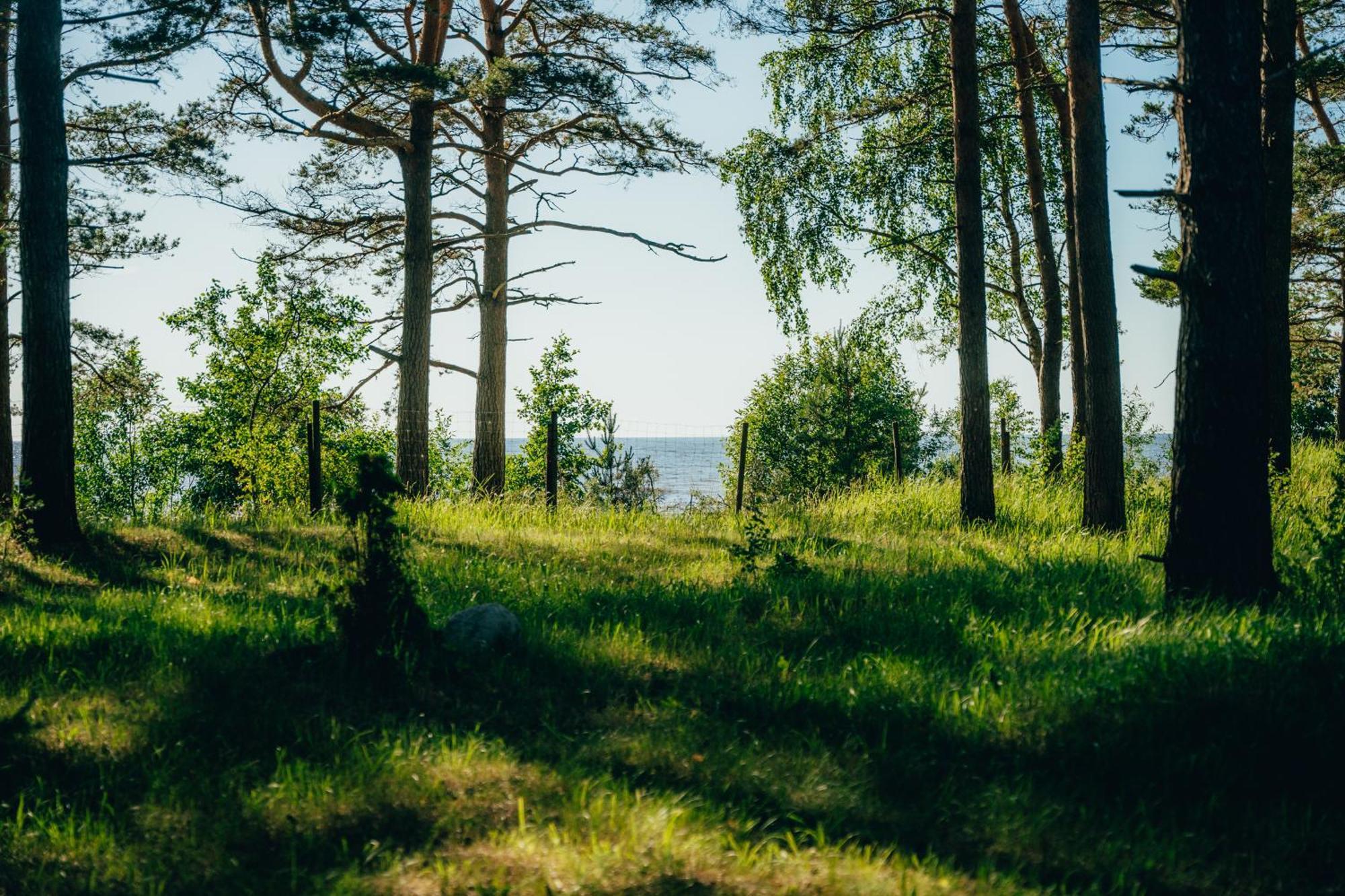 Kempings Varzas Campingplasser